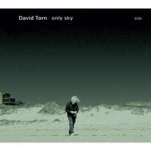 Only Sky de David Torn