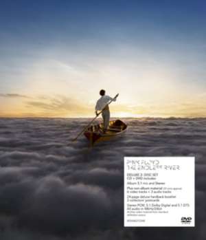 The Endless River de Pink Floyd