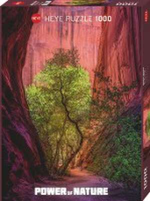 Singing Canyon Puzzle 1000 Teile de Charlotte Gibb