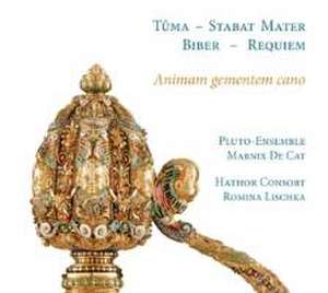 Animam Gementem Cano de Lischka/De Cat/Hathor Consort/Pluto-Ensemble