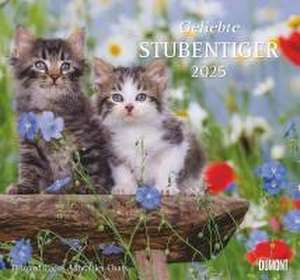 Geliebte Stubentiger 2025 - DUMONT Wandkalender - mit den wichtigsten Feiertagen - Format 38,0 x 35,5 cm de DUMONT Kalender