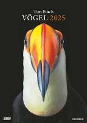 Tim Flach: Vögel 2025 - Posterkalender von DUMONT- Vogel-Porträts von Tim Flach - Poster-Format 50 x 70 cm de DUMONT Kalender