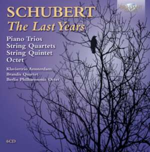 Schubert: The Last Years de Klaviertrio Amsterdam/Brandis Quartett/Berlin Phil