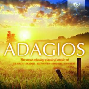 Adagios-The Most Relaxing Classical Music de various