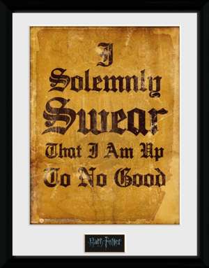 HARRY POTTER - Framed print "I Solemnly Swear" x2