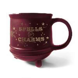 HARRY POTTER (SPELLS & CHARMS) CAULDRON MUG