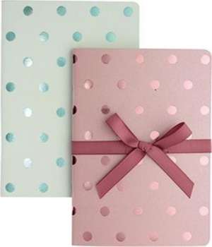 Shimmer Blush Aqua A6 Notebooks Set Of 2