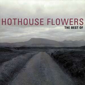 The Best Of de Hothouse Flowers