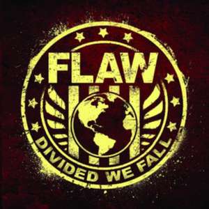 Divided We Fall de Flaw