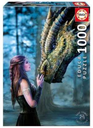 Educa Borras - Once Upon a Time, Anne Stokes 1000 piece Jigs