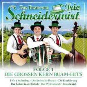 Das Beste 1-Die grossen Kern Buam-Hits de Schneiderwirt Trio