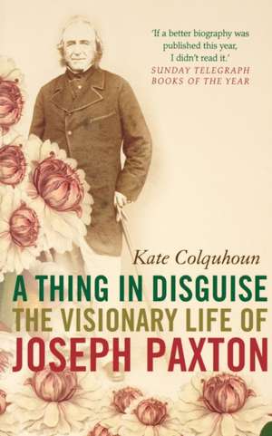 A Thing in Disguise de Kate Colquhoun