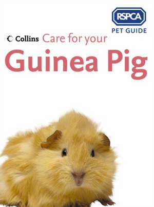 Care for Your Guinea Pig de Rspca