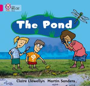 The Pond de Claire Llewellyn