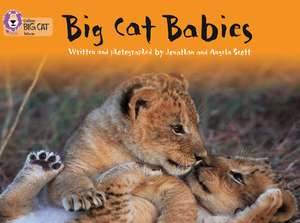 Big Cat Babies de Angela Scott