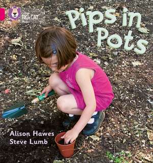 Pips in Pots de Alison Hawes