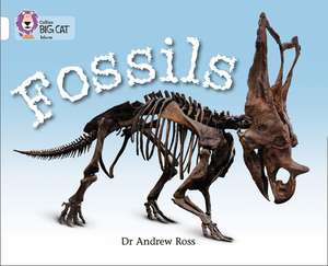 Fossils de Andrew Ross