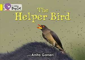 BIG CAT - HELPER BIRD de Anita Ganeri