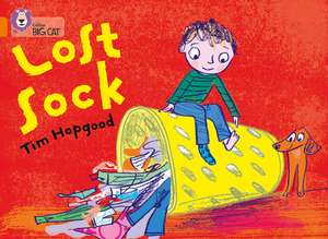 The Lost Sock: The Lost City de Tim Hopgood