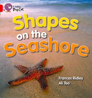 Shapes on the Seashore Workbook de Frances Ridley