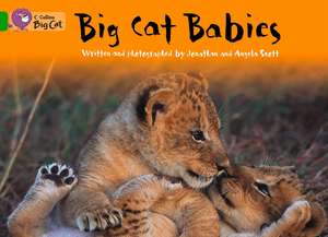 Big Cat Babies Workbook de Angela Scott