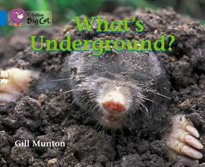 What's Underground? Workbook de Gill Munton