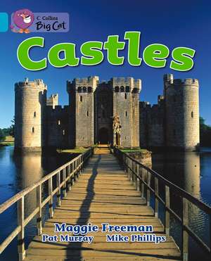 Castles de Maggie Freeman