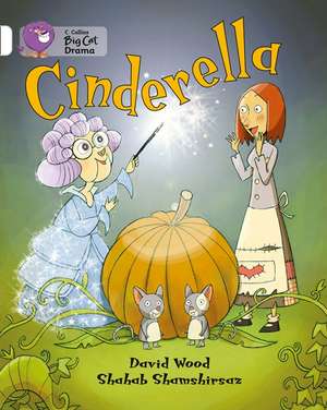 Cinderella Workbook de David Wood