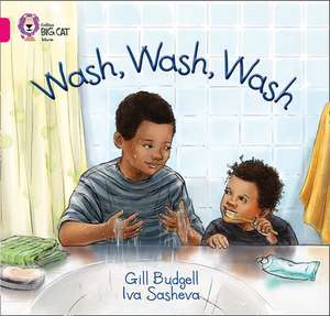 Wash, Wash, Wash de Gill Budgell