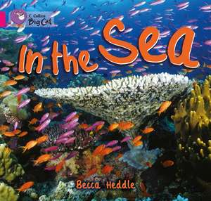 In the Sea de Becca Heddle