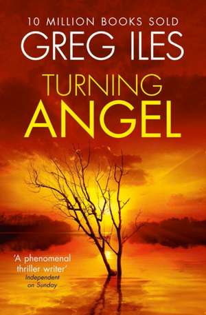 Turning Angel de Greg Iles