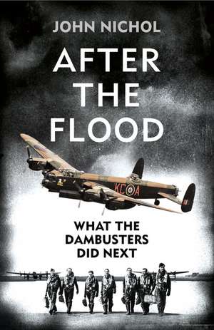 After the Flood de John Nichol