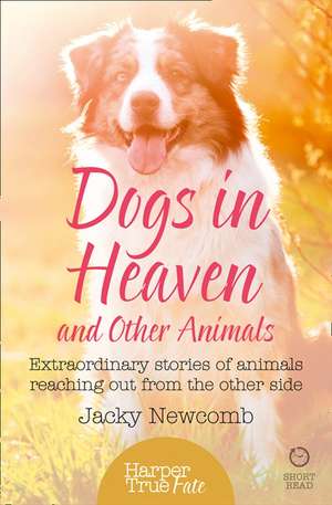 Dogs in Heaven de Jacky Newcomb