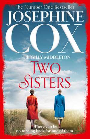 Two Sisters de Josephine Cox