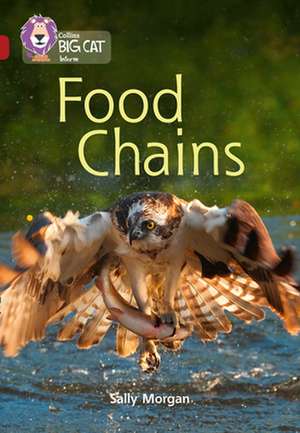 Collins Big Cat - Food Chains de Sally Morgan