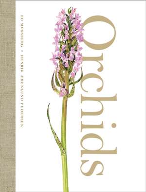 Mossberg, B: Orchids