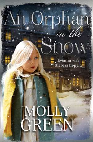 An Orphan in the Snow de Molly Green