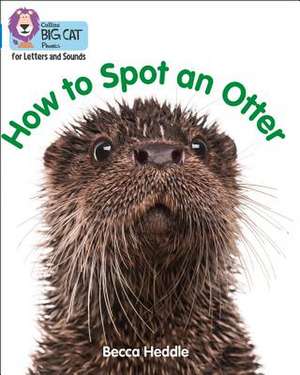 Be an Otter Expert de Becca Heddle