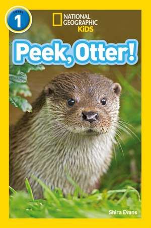 Peek, Otter! de Shira Evans