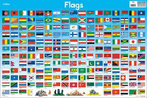 Collins Kids: Flags de Collins Kids