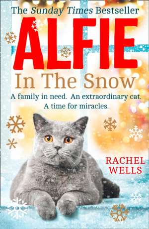 Alfie in the Snow de Rachel Wells