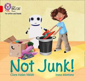 Not Junk! de Clare Helen Welsh