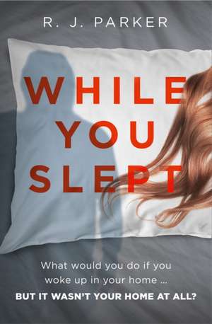 While You Slept de R. J. Parker