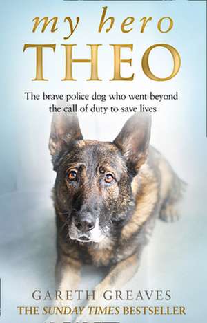 My Hero Theo de Gareth Greaves