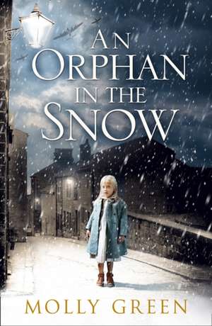 An Orphan in the Snow de Molly Green