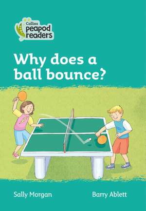 Why does a ball bounce? de Sally Morgan