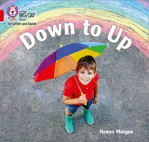 Down to Up de Hawys Morgan