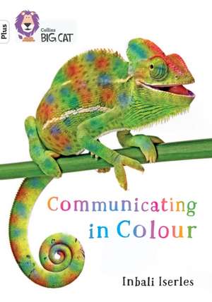 BIG CAT_COMMUNICATE IN COLOUR de Inbali Iserles