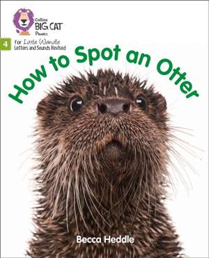 Big Cat Phonics for Little Wandle Letters and Sounds Revised - How to Spot an Otter de Becca Heddle