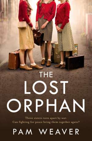 The Lost Orphan de Pam Weaver